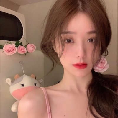 少奇同志在东北